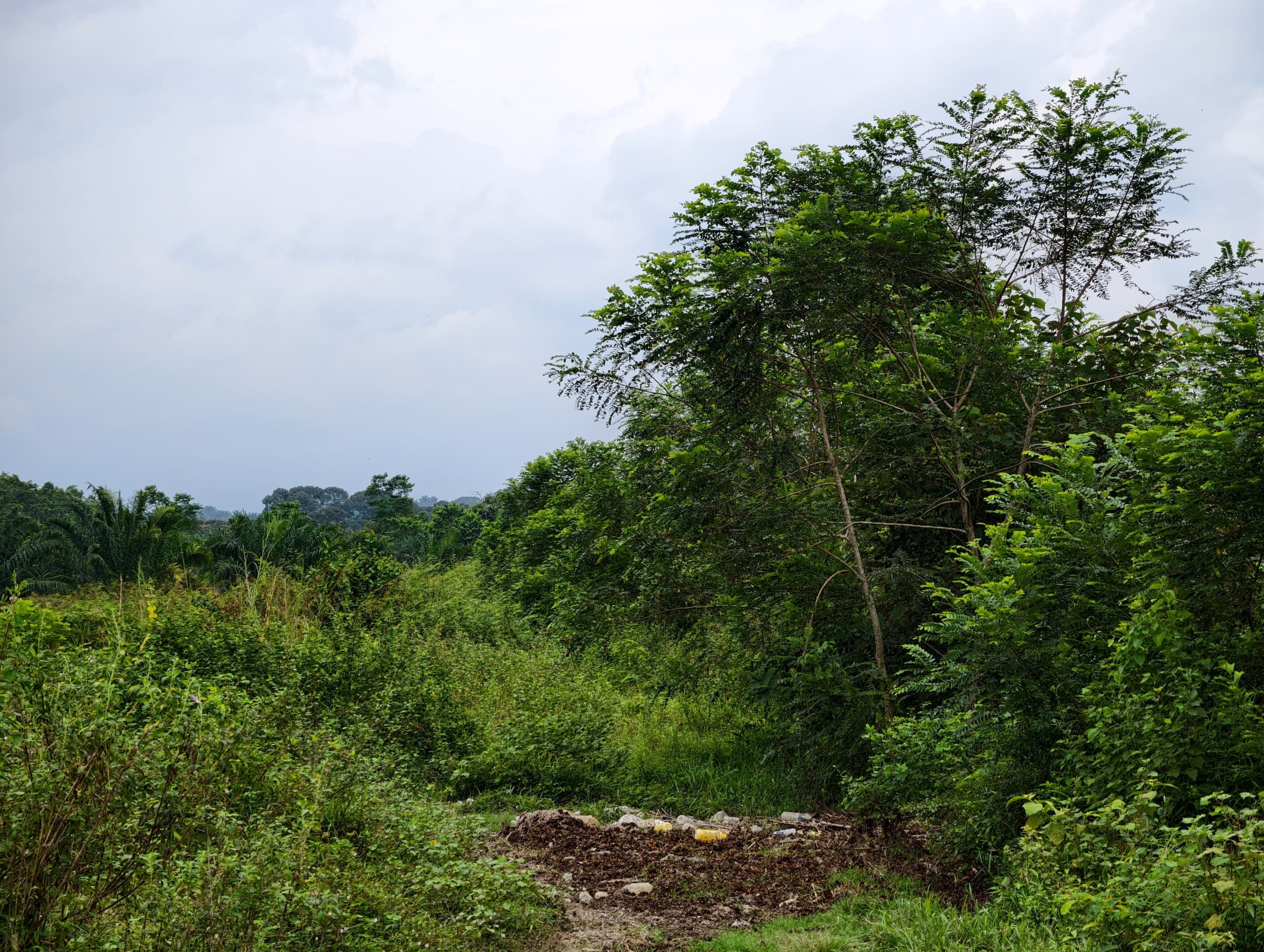 Tanah 4.18 Ekar, Alor Gajah - gambar 1