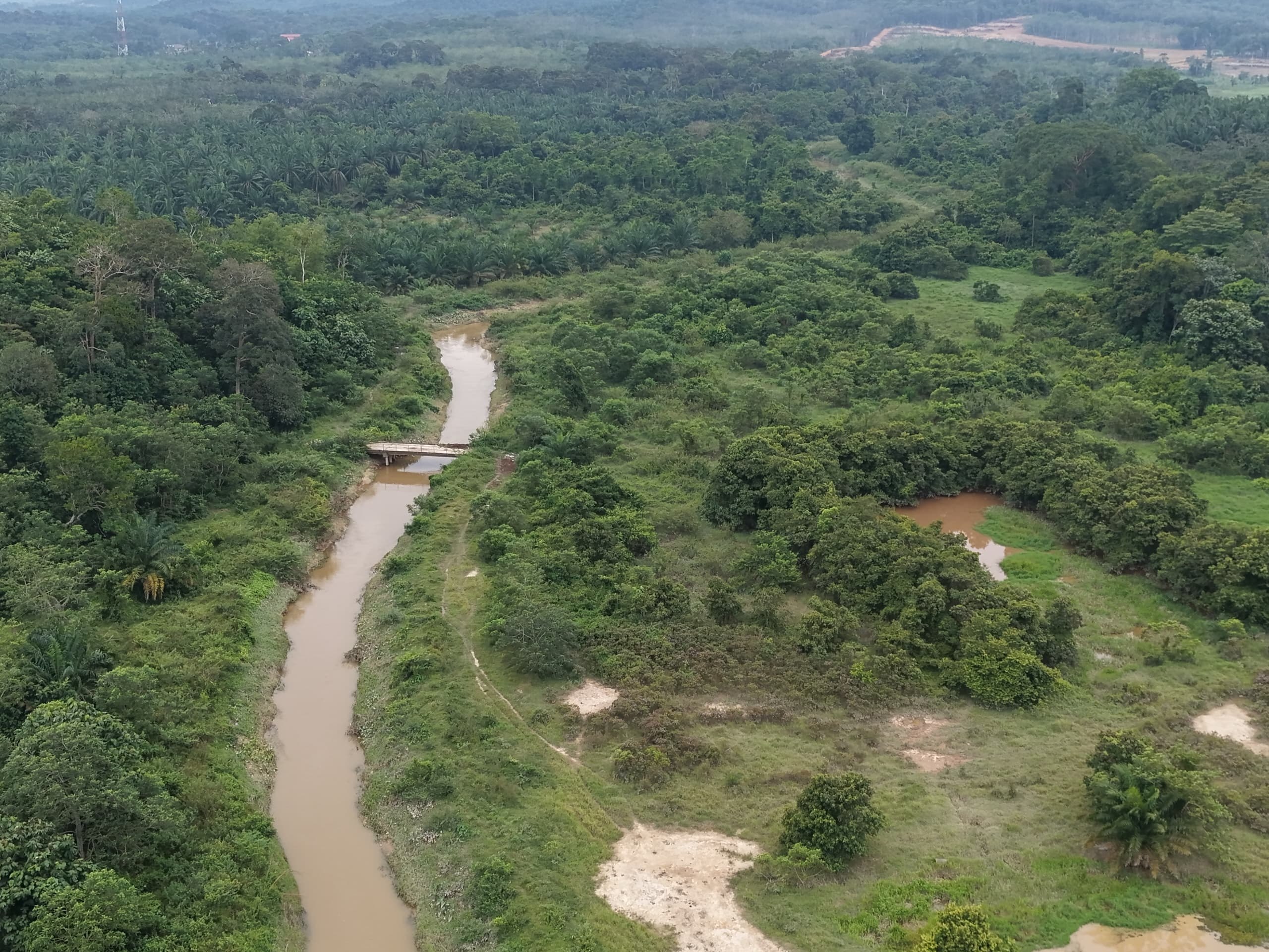 Tanah 4.18 Ekar, Alor Gajah - gambar 4