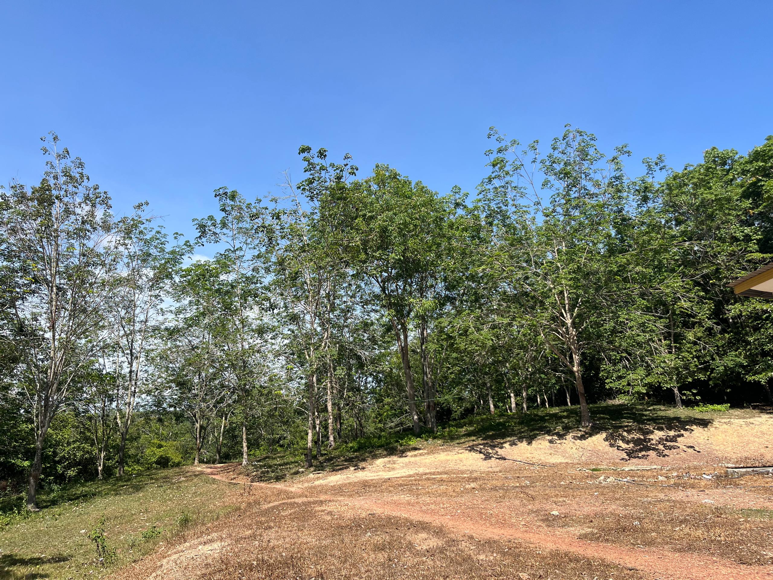 Tanah 1.82 Ekar, Ayer Paabas - gambar 4