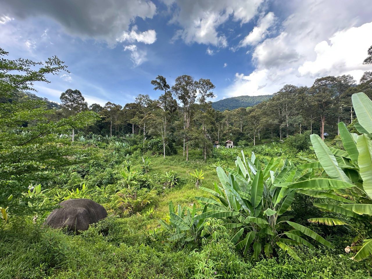 Tanah 3.25 Ekar, Hulu Langat - gambar 3