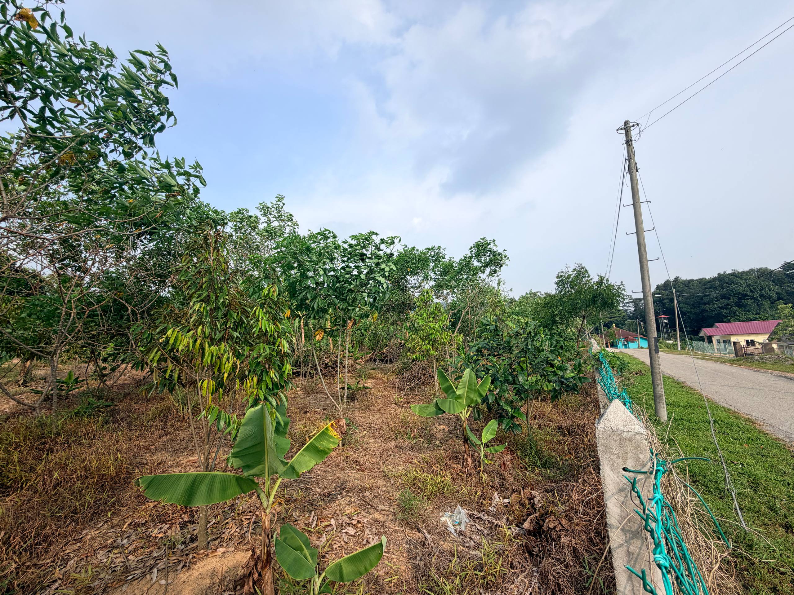 Tanah 0.3497 Ekar, Jasin - gambar 2
