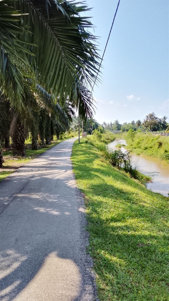 Tanah 2.3 Ekar, Jasin - gambar 1