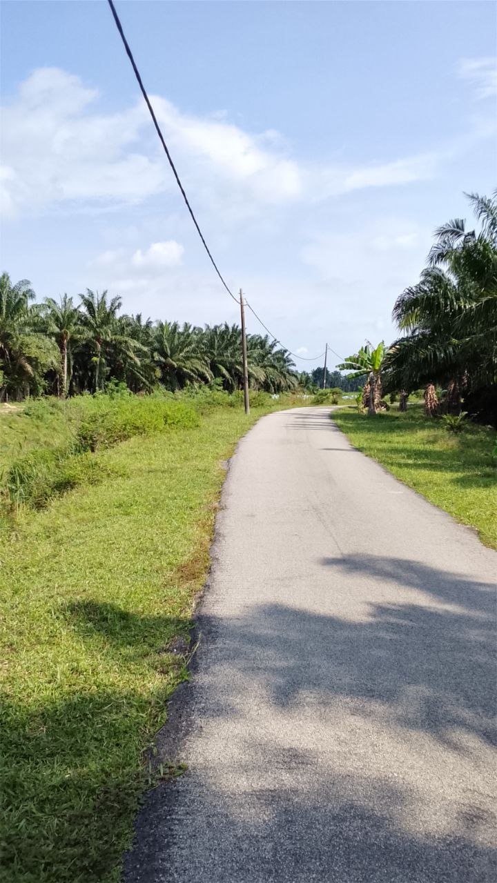 Tanah 2.3 Ekar, Jasin - gambar 2