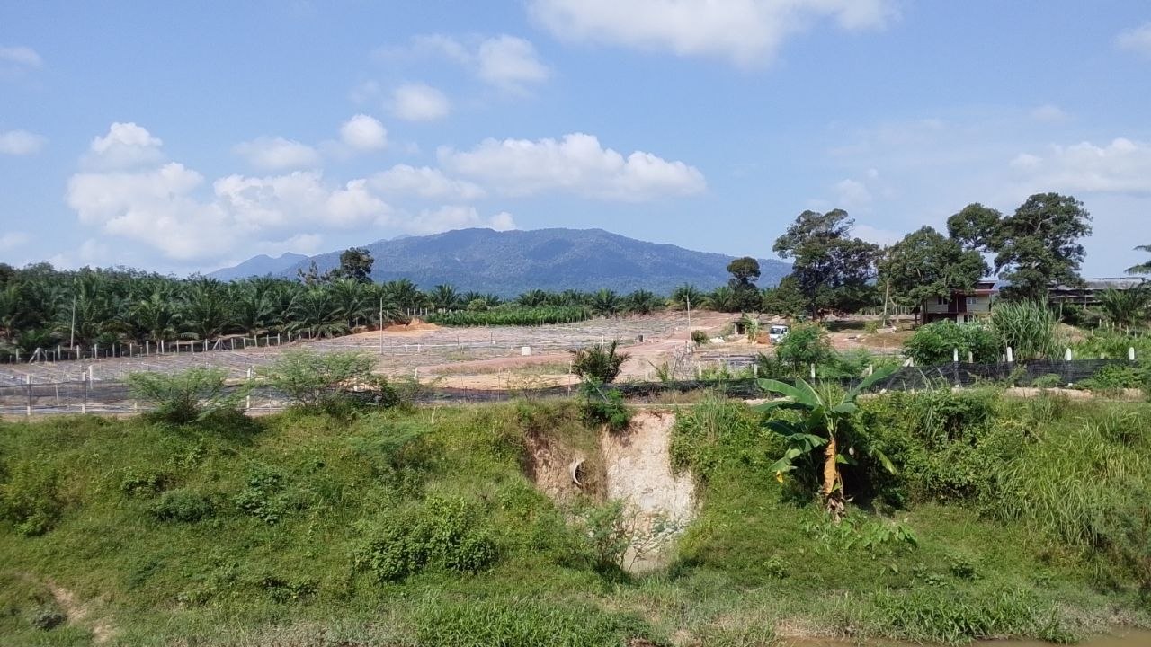 Tanah 2.3 Ekar, Jasin - gambar 3