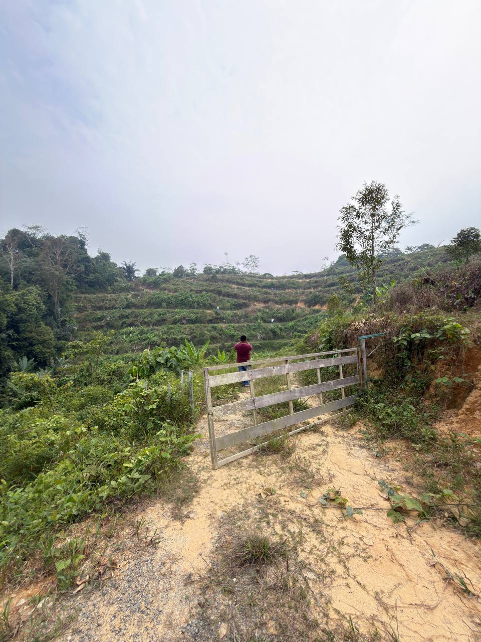 Tanah 5.5 Ekar, Jelebu - gambar 3