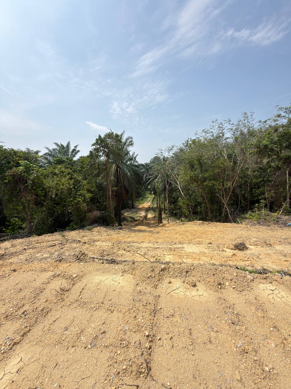 Tanah 2.4 Ekar, Kuala Pilah - gambar 4