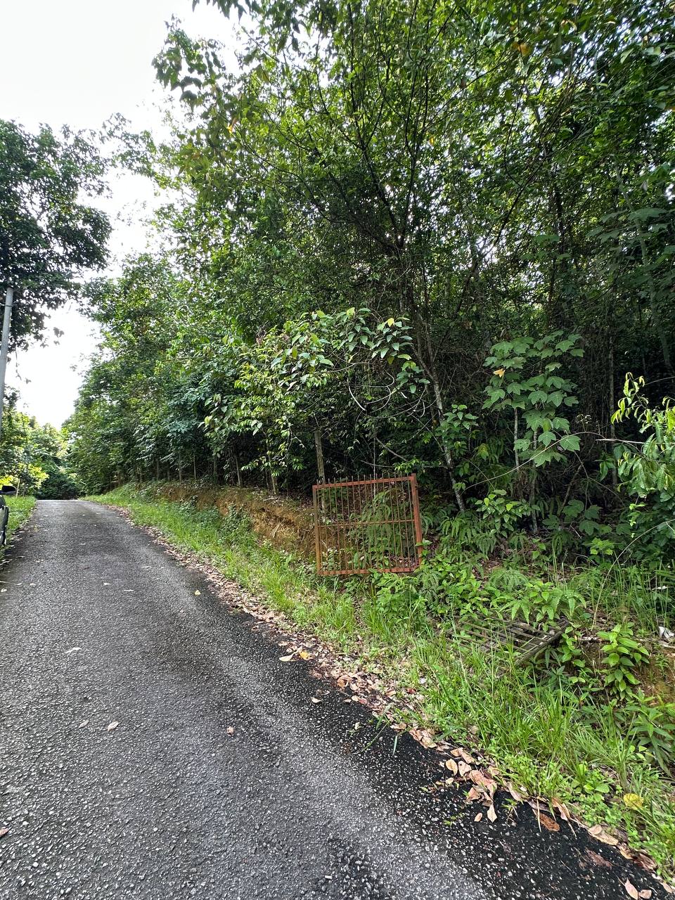 Tanah 2.84 Ekar, Kuala Pilah - gambar 4