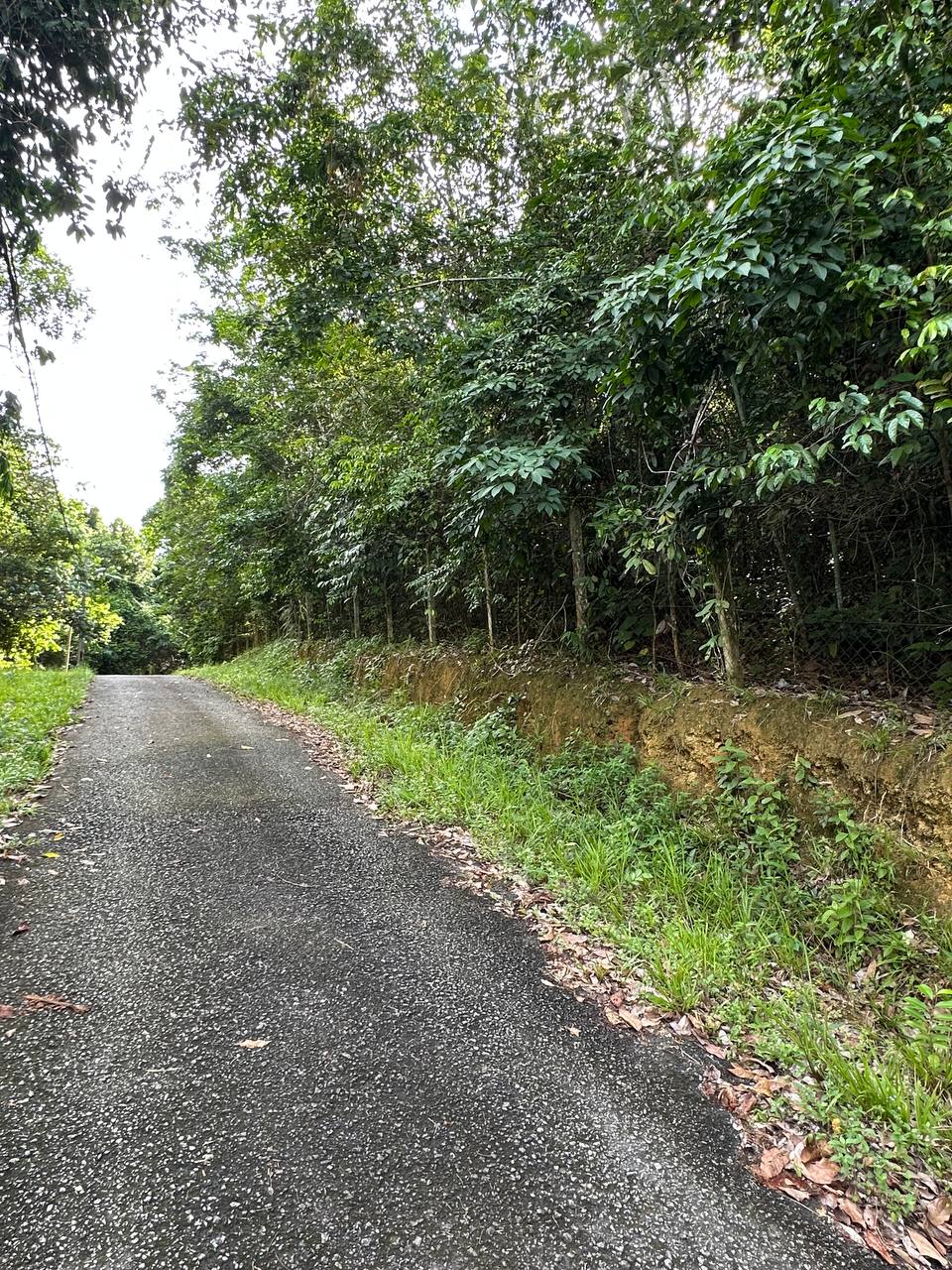 Tanah 2.84 Ekar, Kuala Pilah - gambar 5