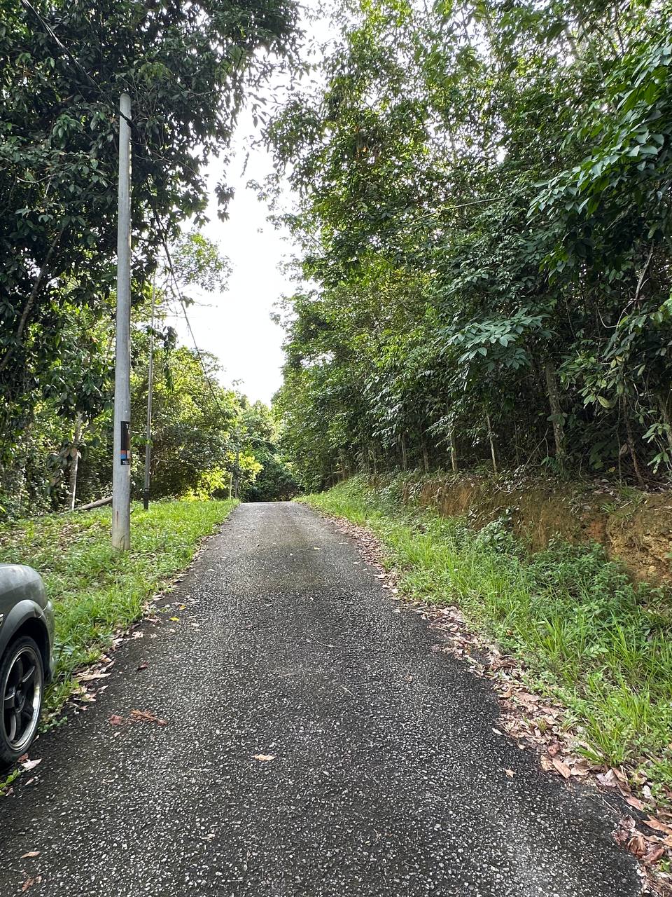 Tanah 2.84 Ekar, Kuala Pilah - gambar 6