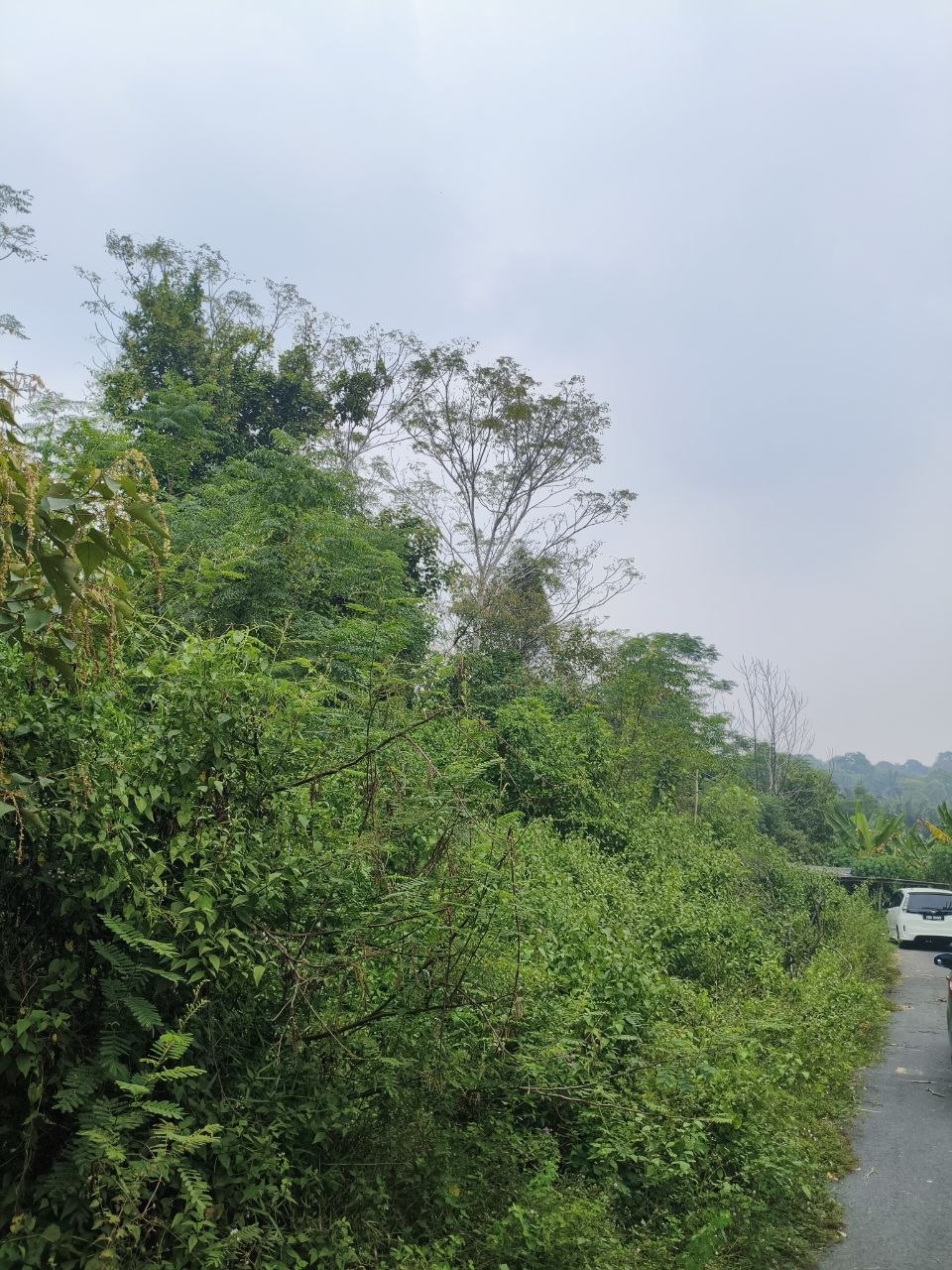 Tanah 2.72 Ekar, Rantau - gambar 1