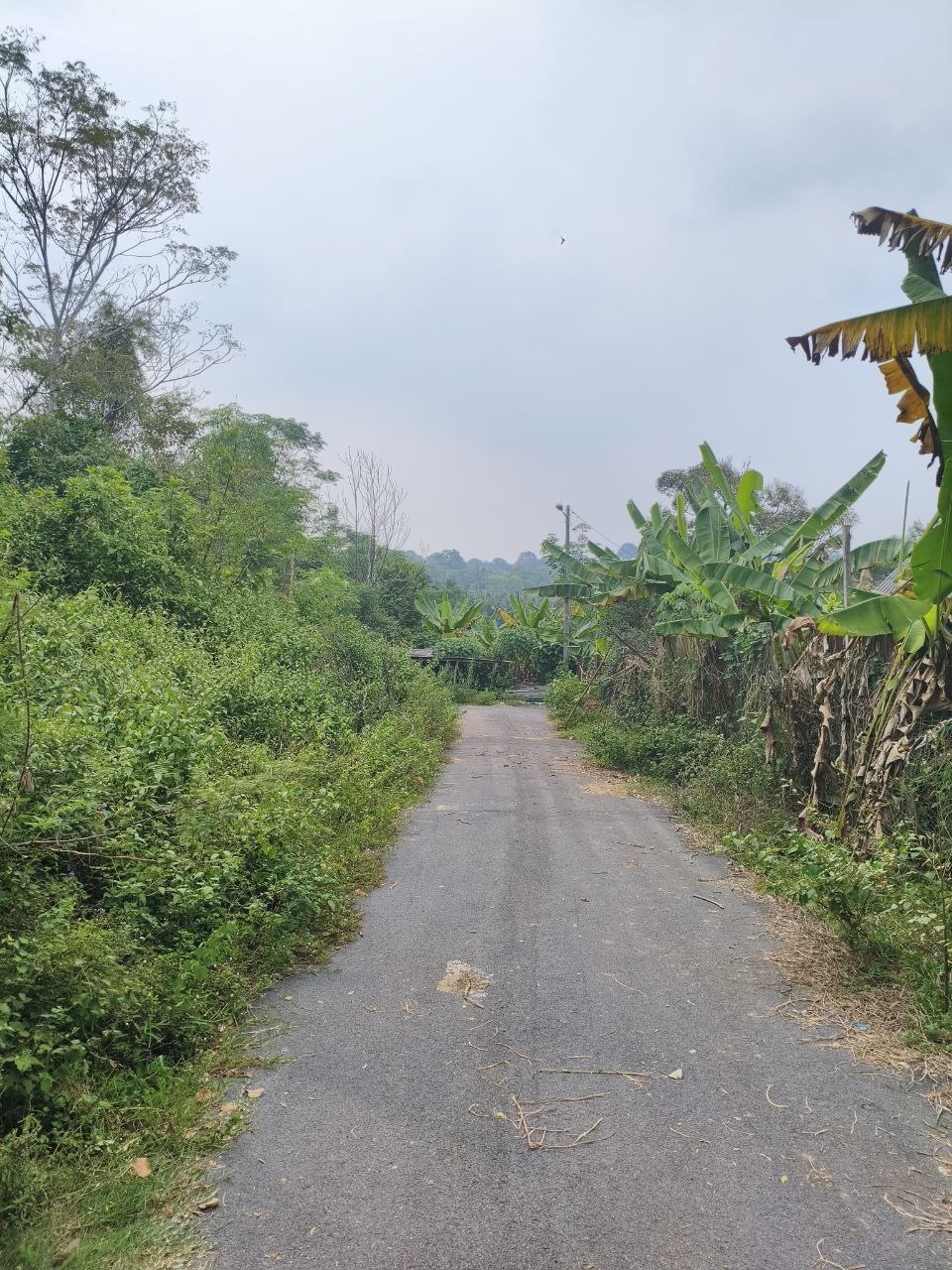 Tanah 2.72 Ekar, Rantau - gambar 4