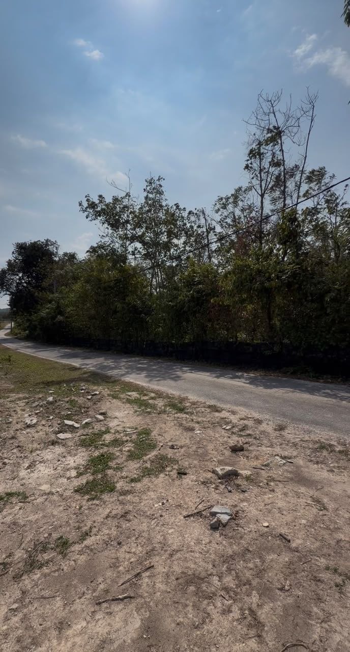 Tanah 0.25 Ekar, Rembau - gambar 5