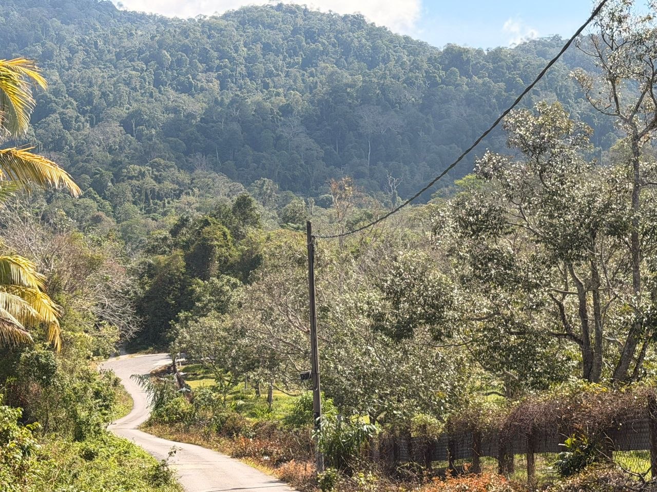Tanah 0.5 Ekar, Rembau - gambar 4