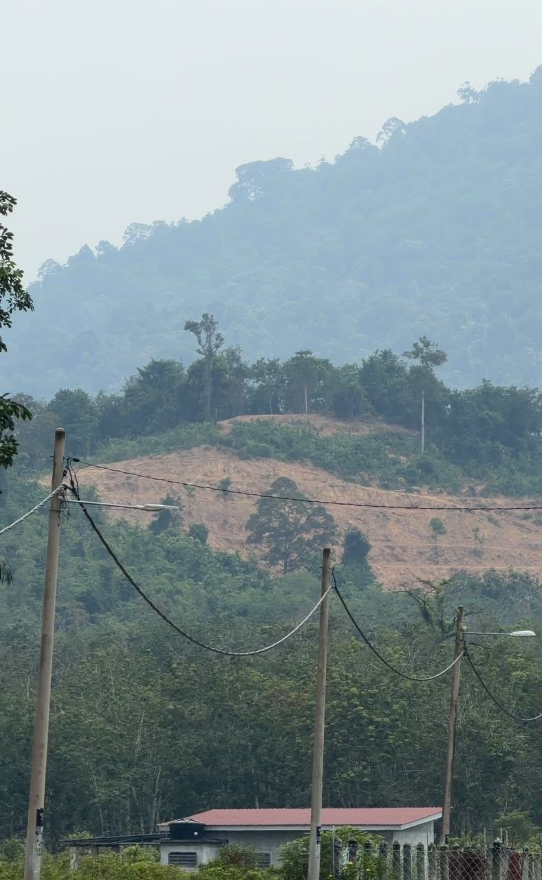 Tanah 1 Ekar, Rembau - gambar 3