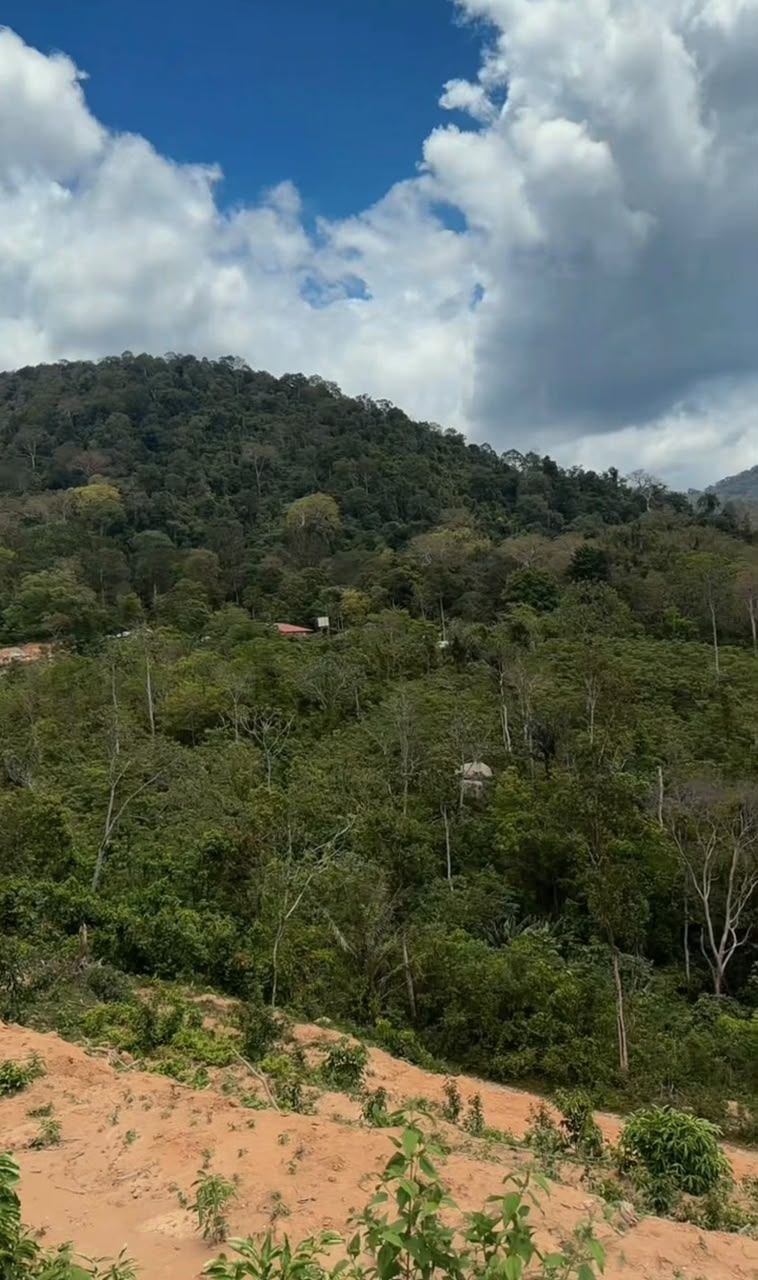 Tanah 1 Ekar, Rembau - gambar 4