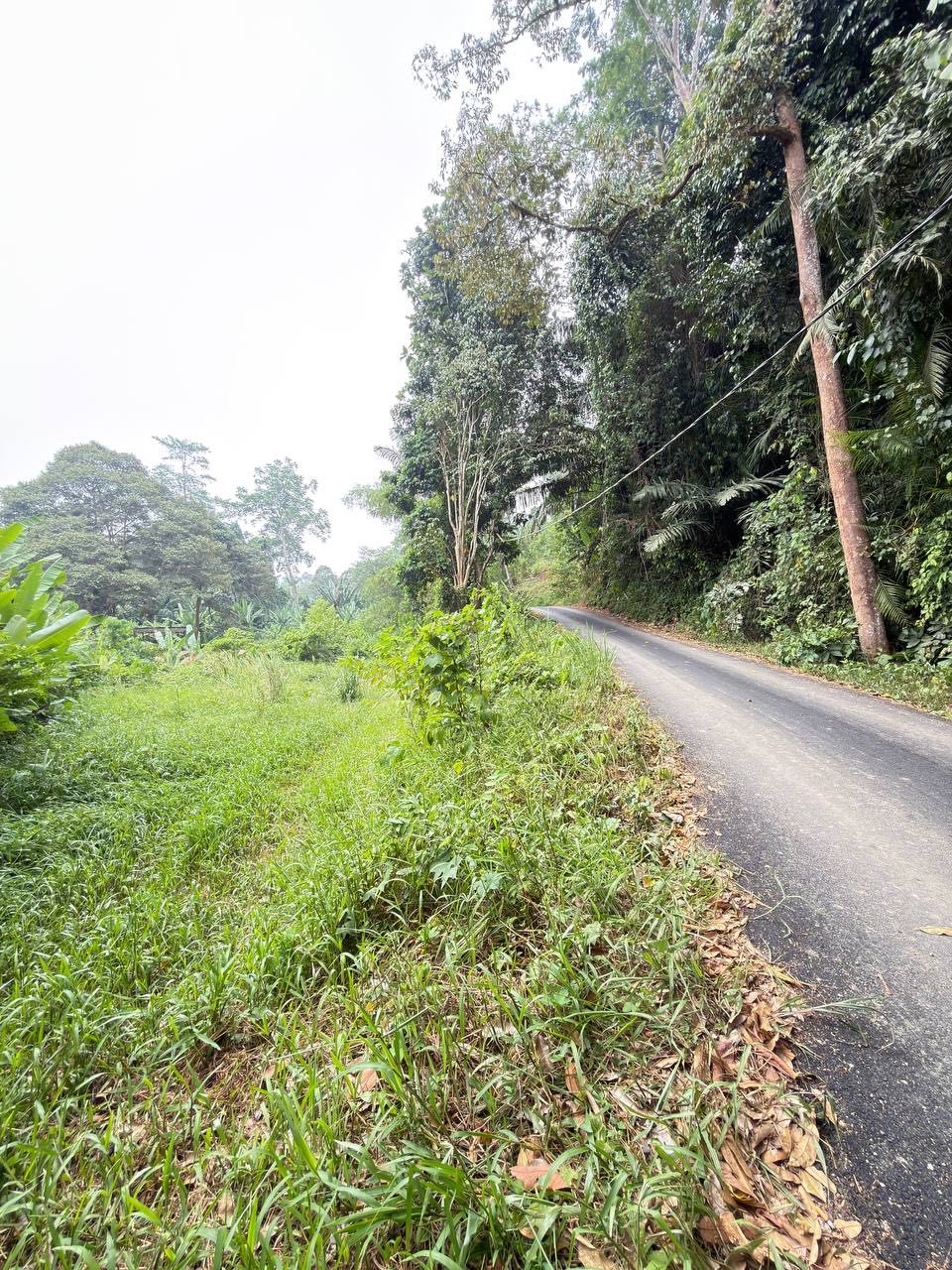 Tanah 2.7 Ekar, Ulu Jelebu - gambar 3