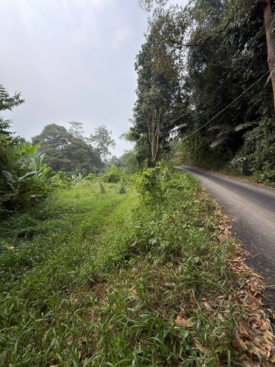 Tanah 2.7 Ekar, Ulu Jelebu - gambar 4